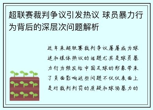 超联赛裁判争议引发热议 球员暴力行为背后的深层次问题解析