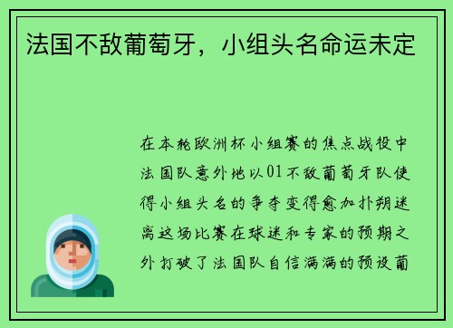 法国不敌葡萄牙，小组头名命运未定